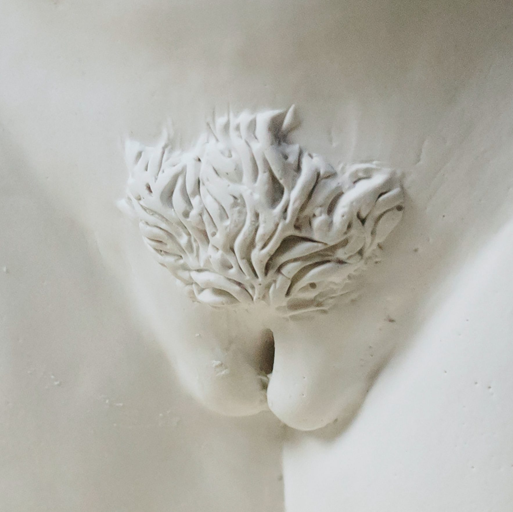 Kunstwerk: künstliche Vagina